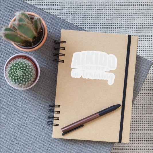 Aikido Master in Training Martial Arts