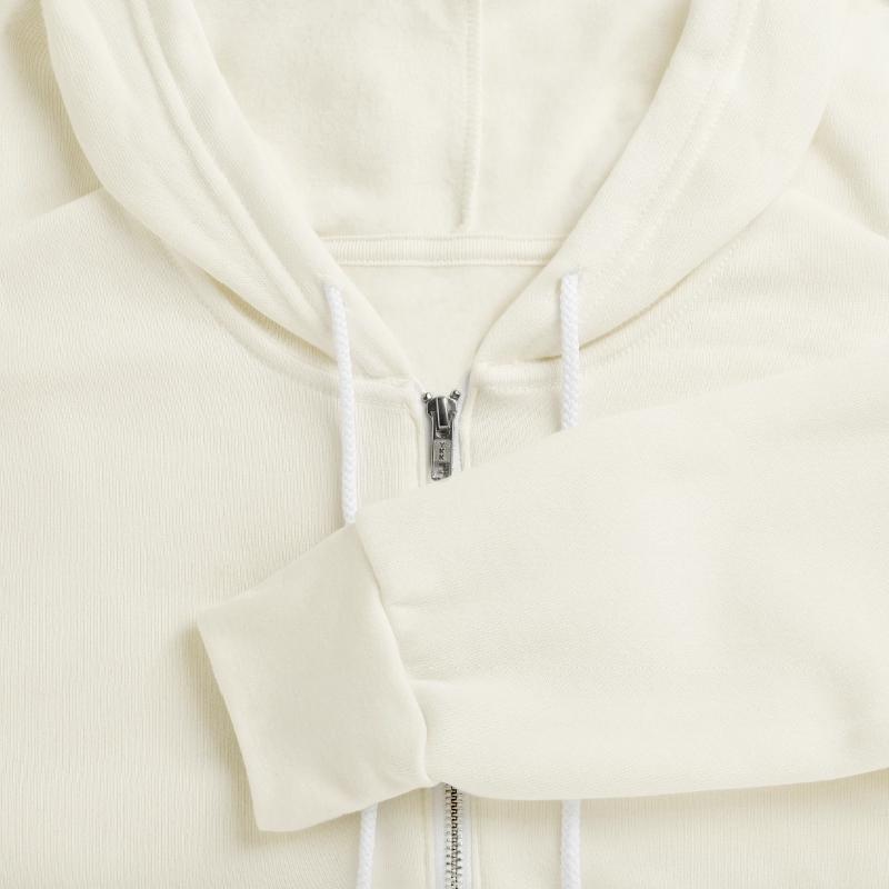 Ant skates busy Insects