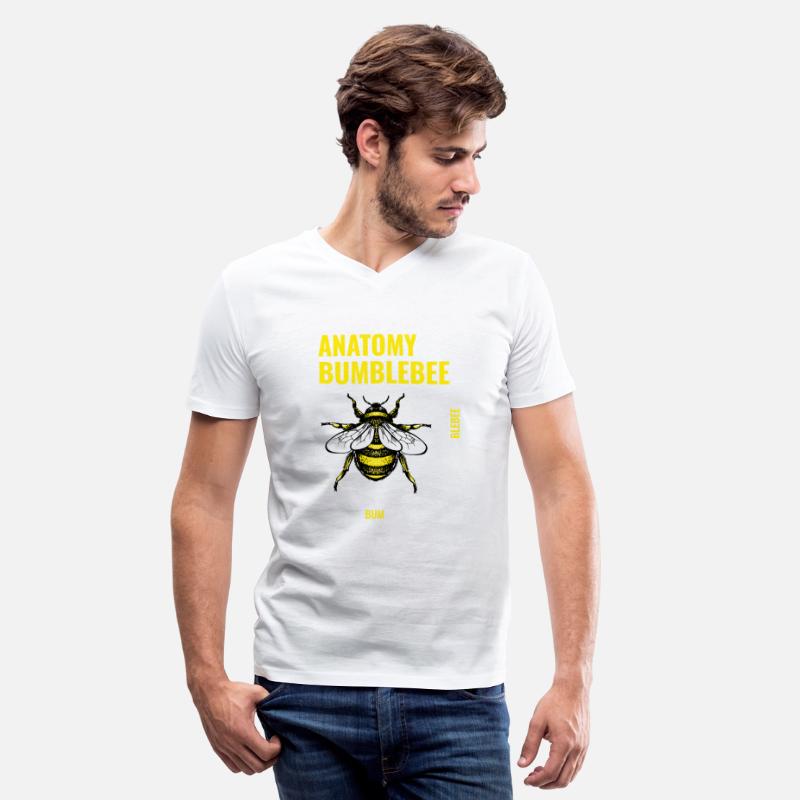 Antatomy Of A Bumblebee