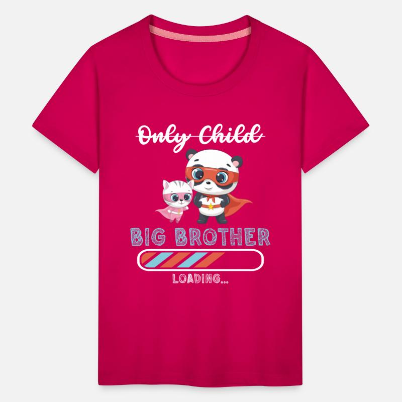 Big brother super hero panda cat