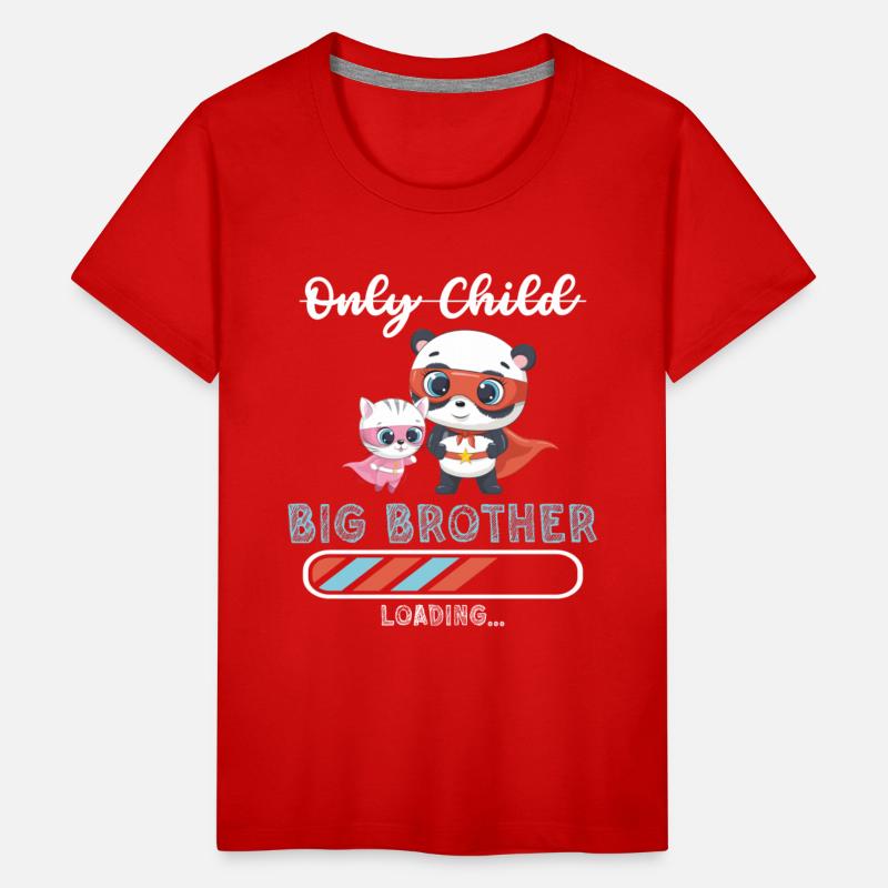 Big brother super hero panda cat