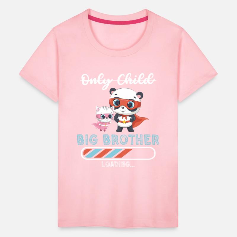 Big brother super hero panda cat