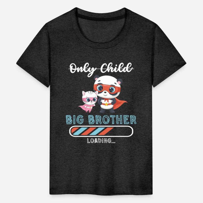 Big brother super hero panda cat