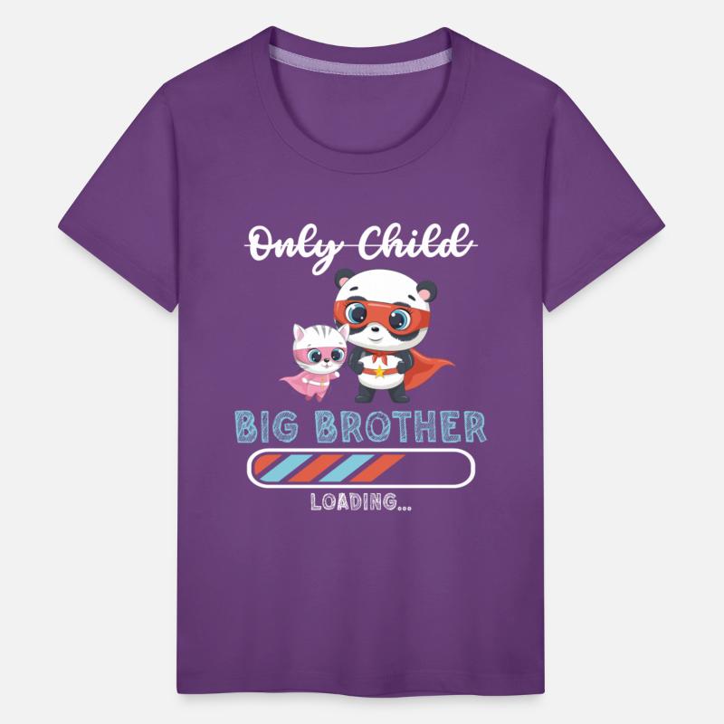 Big brother super hero panda cat