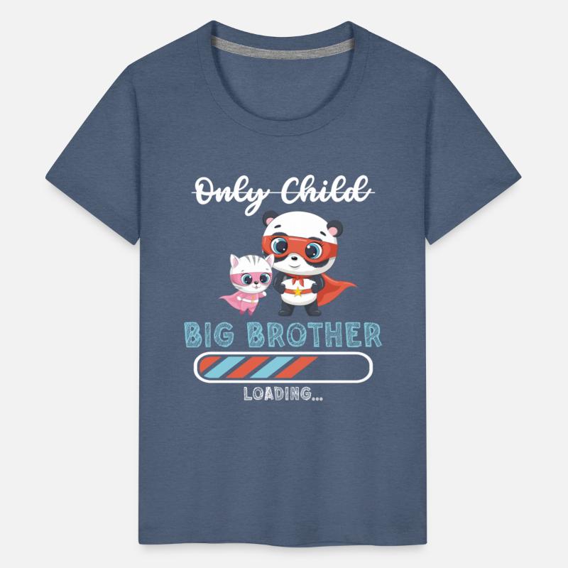 Big brother super hero panda cat