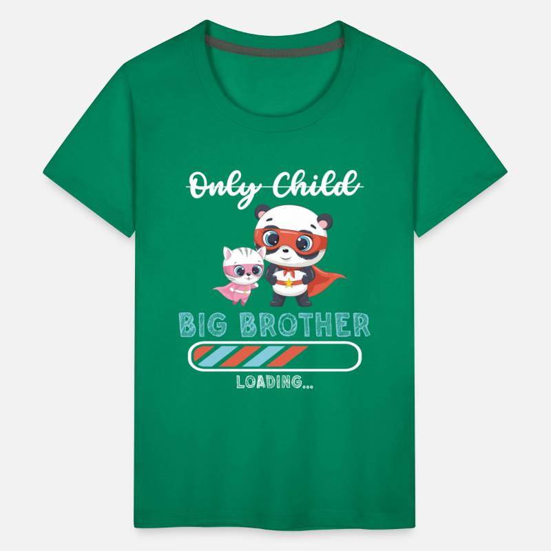 Big brother super hero panda cat