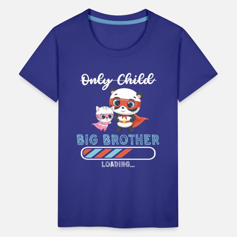 Big brother super hero panda cat