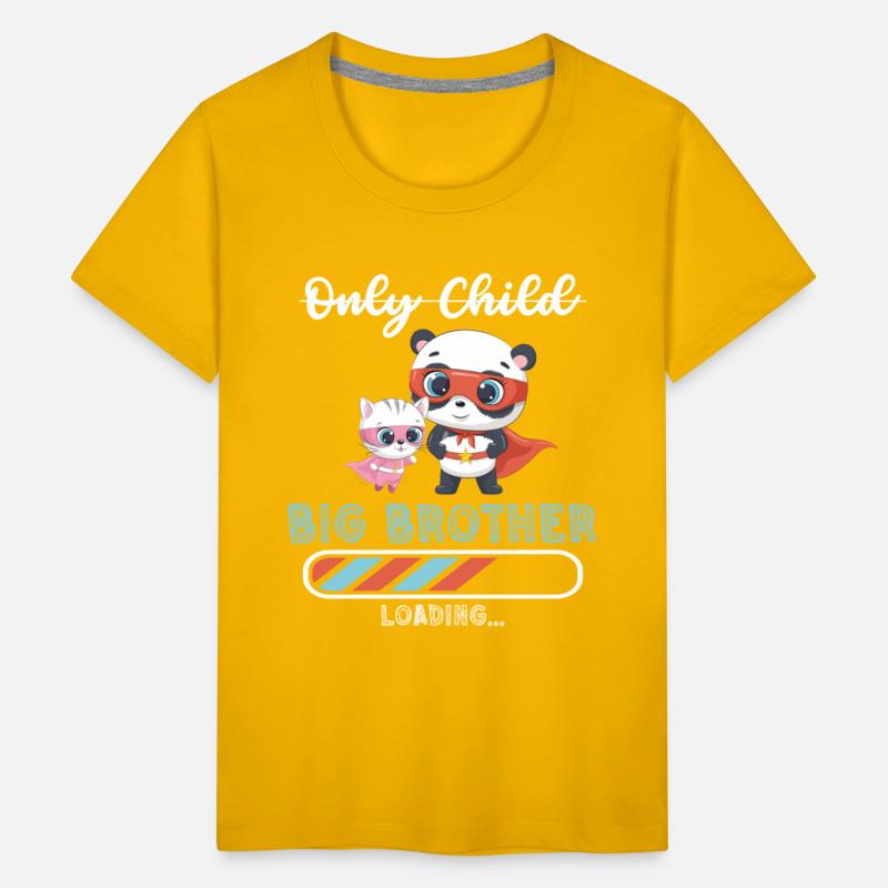 Big brother super hero panda cat