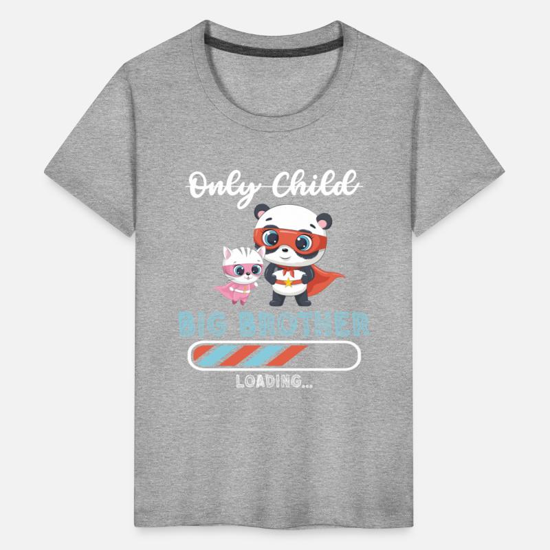 Big brother super hero panda cat