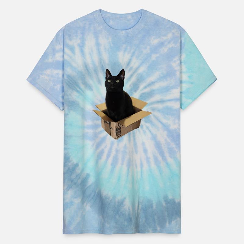 Cat Box - Black Cat sitting in a small box