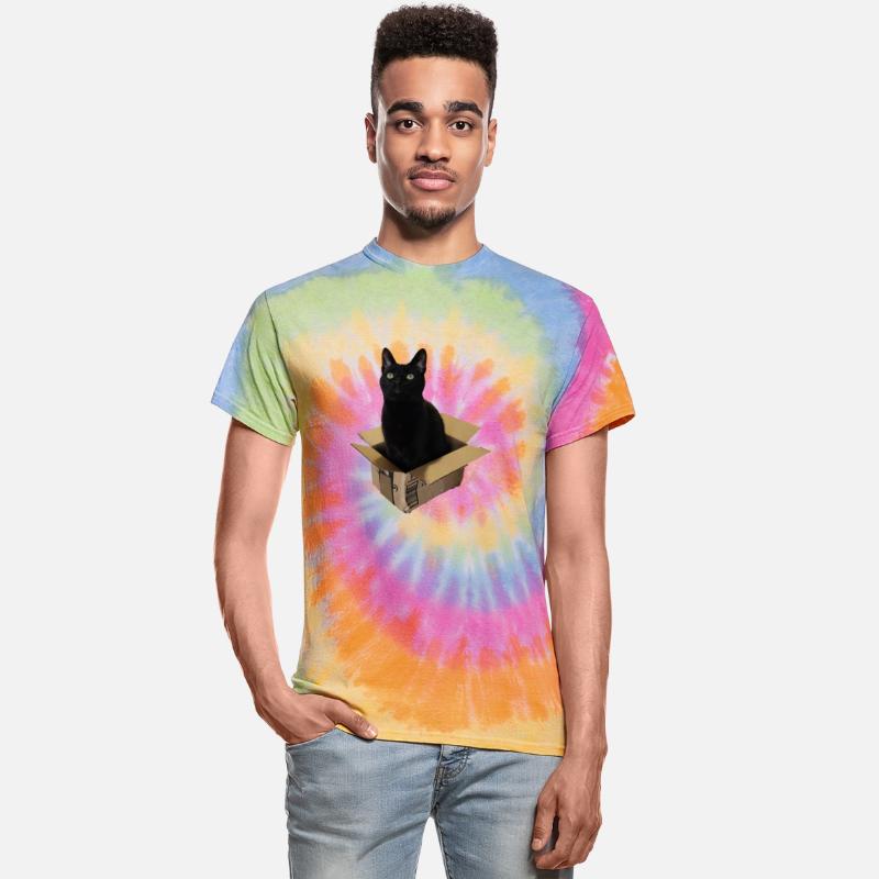 Cat Box - Black Cat sitting in a small box