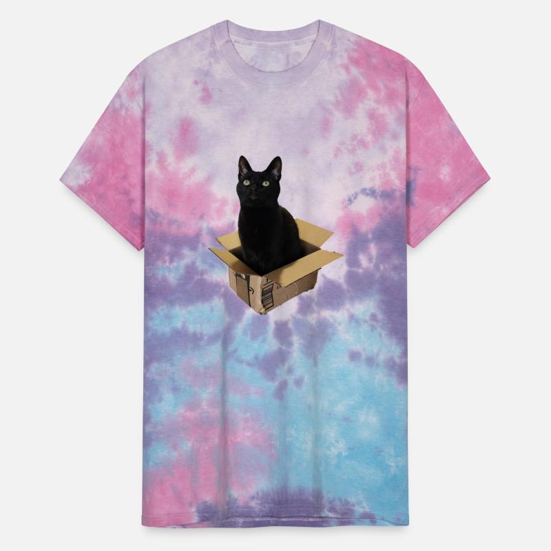 Cat Box - Black Cat sitting in a small box