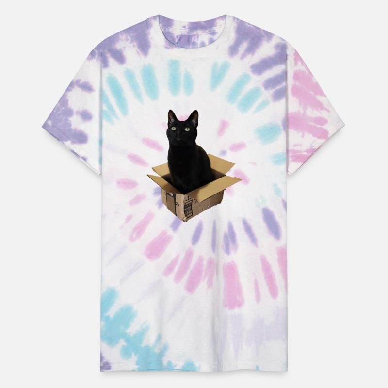 Cat Box - Black Cat sitting in a small box