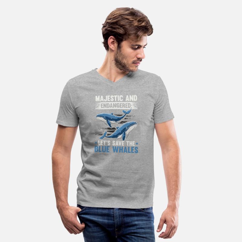 Endangered Species Blue Whale Animal Rights