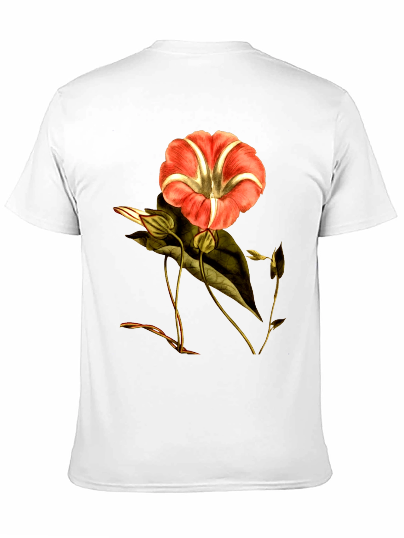 Floral Print Crew Neck T-Shirt