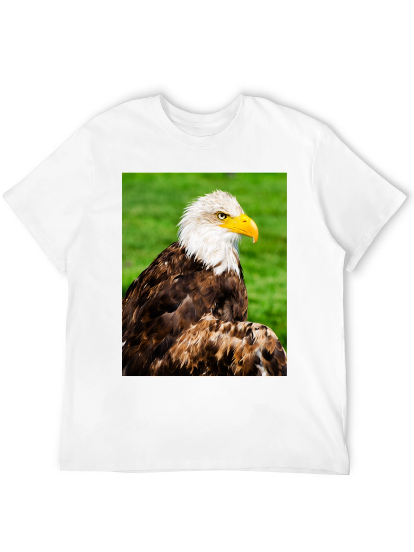 Bald Eagle Graphic T-Shirt
