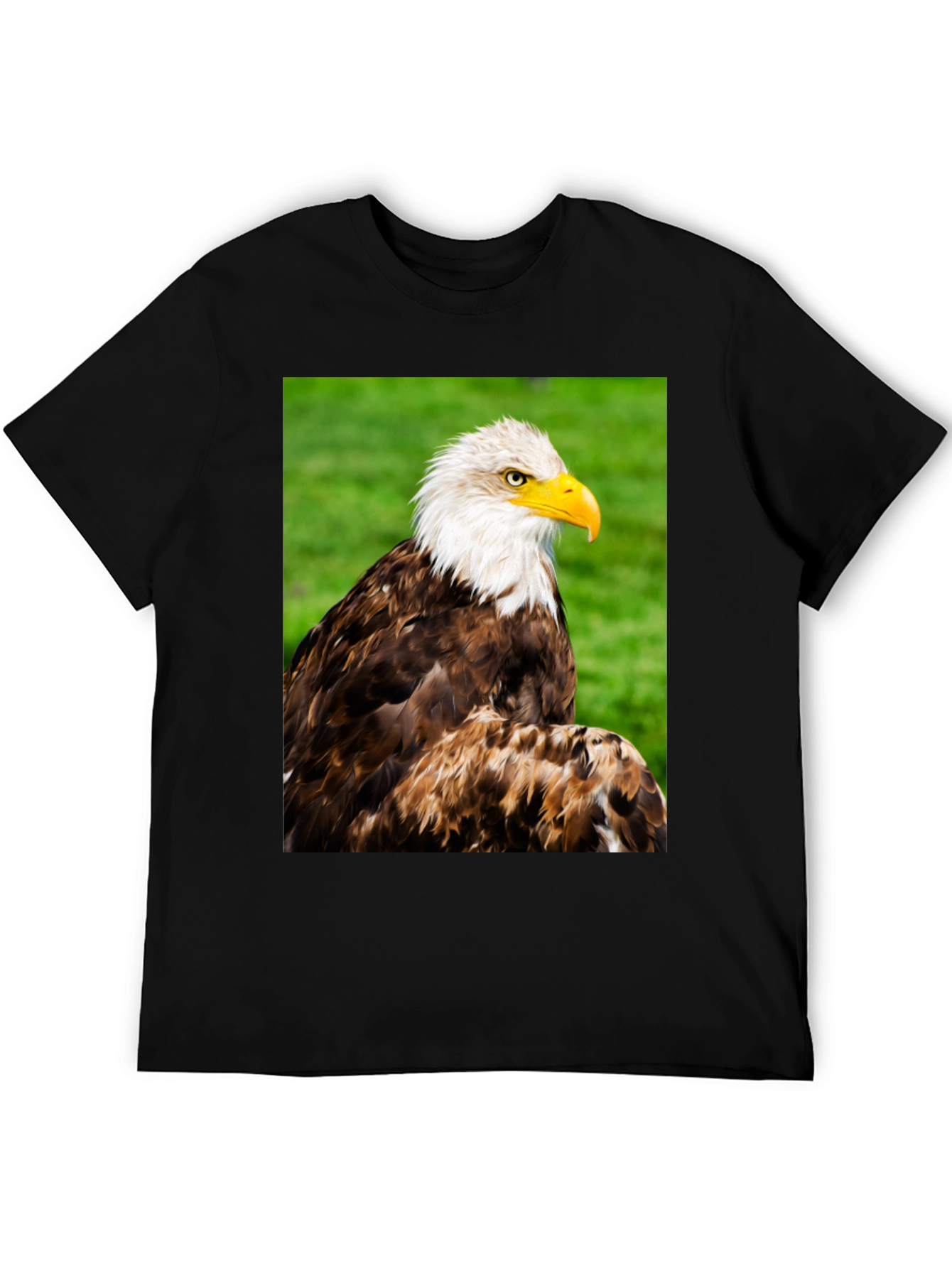Bald Eagle Graphic T-Shirt