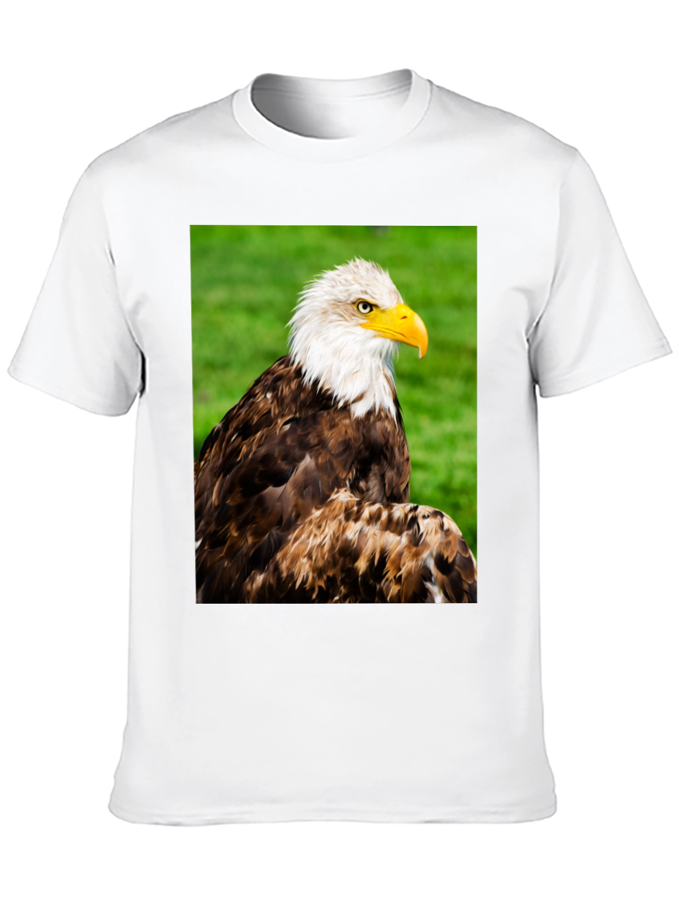 Bald Eagle Graphic T-Shirt