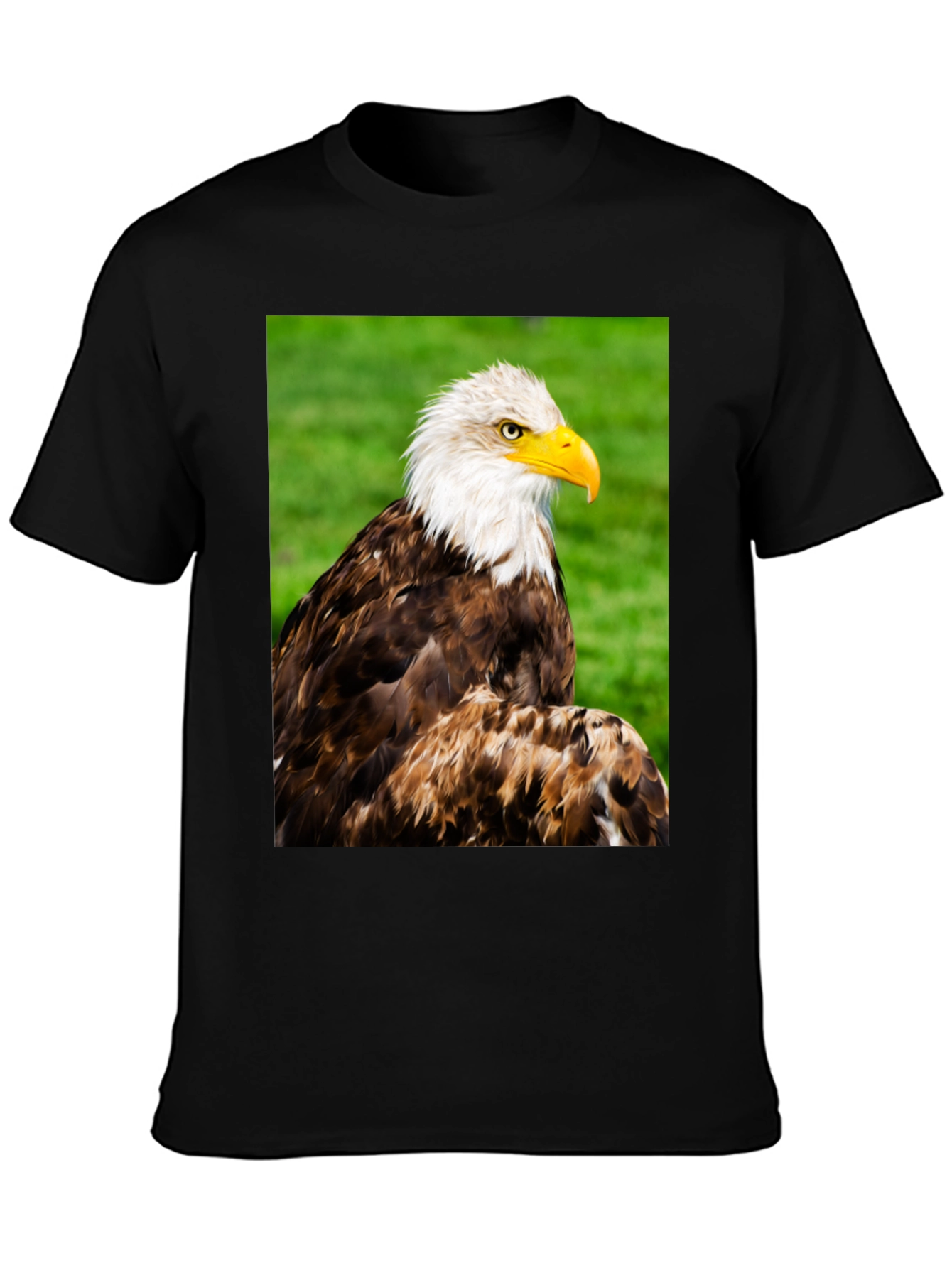 Bald Eagle Graphic T-Shirt