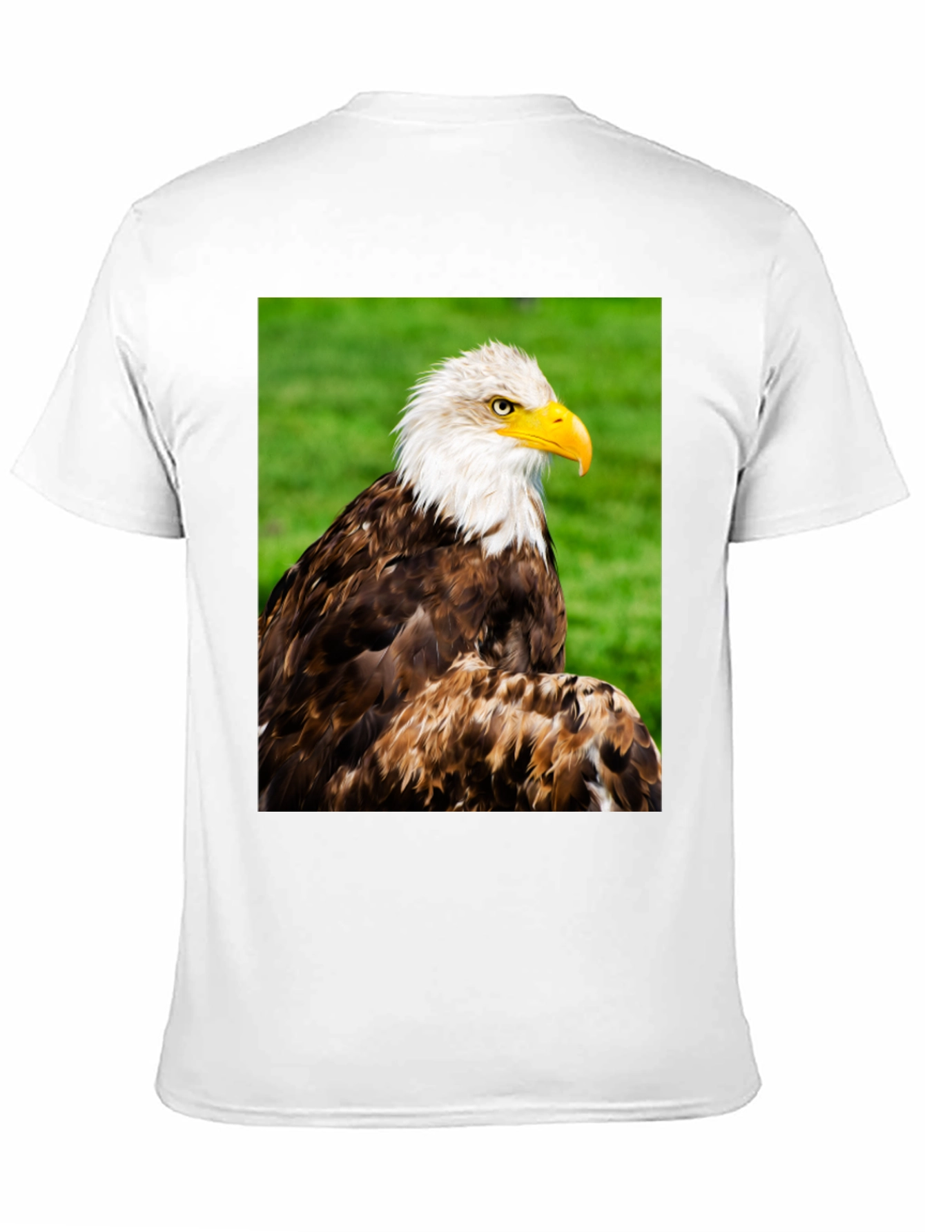 Bald Eagle Graphic T-Shirt