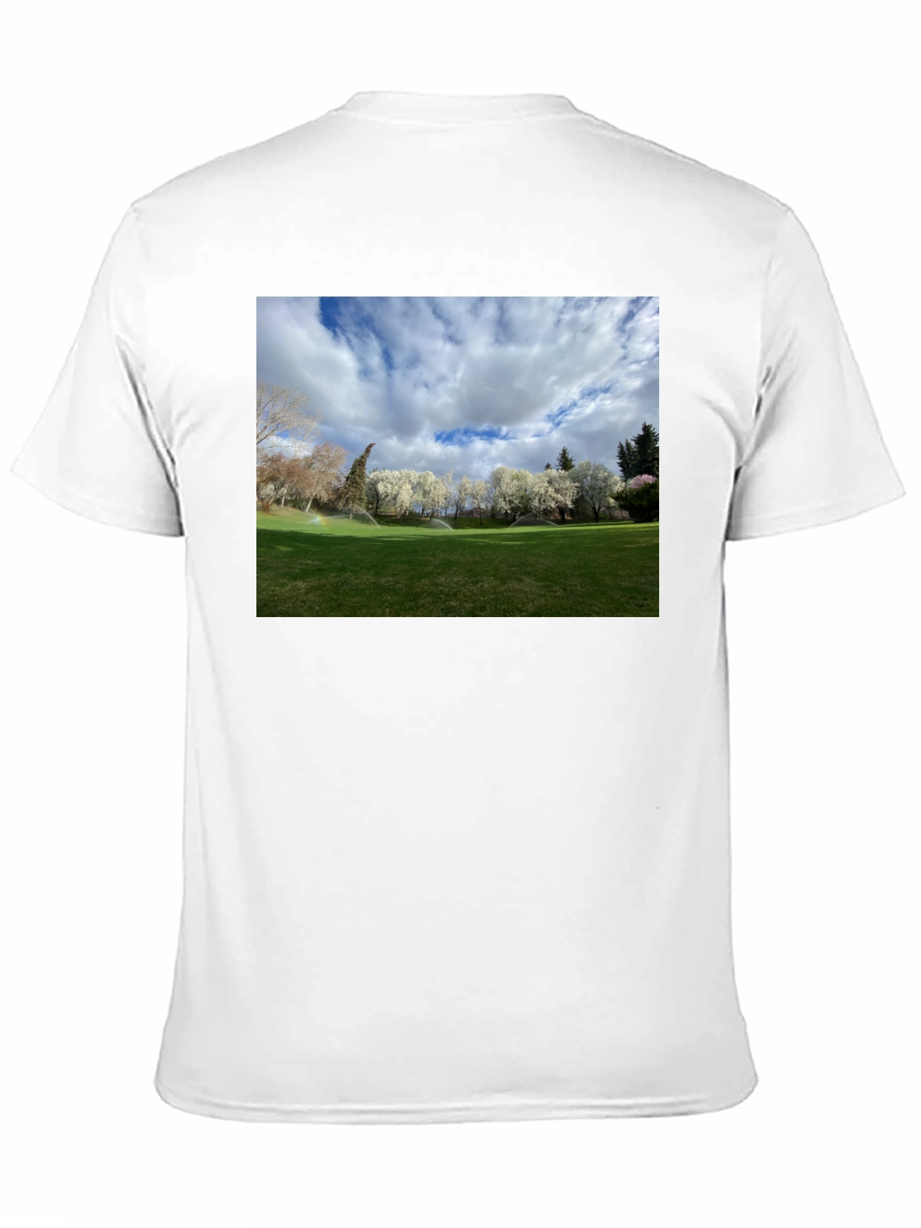 Scenic Landscape Graphic Tee - Cotton Comfort