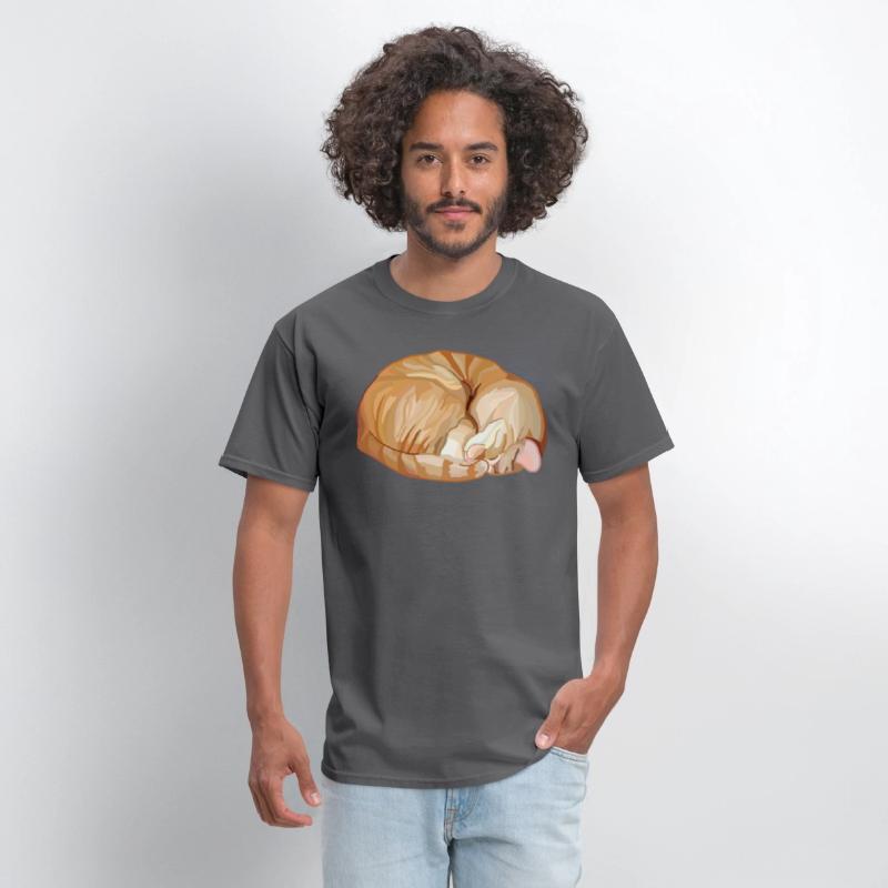 Sleeping Curled Orange Ginger Tabby Cat