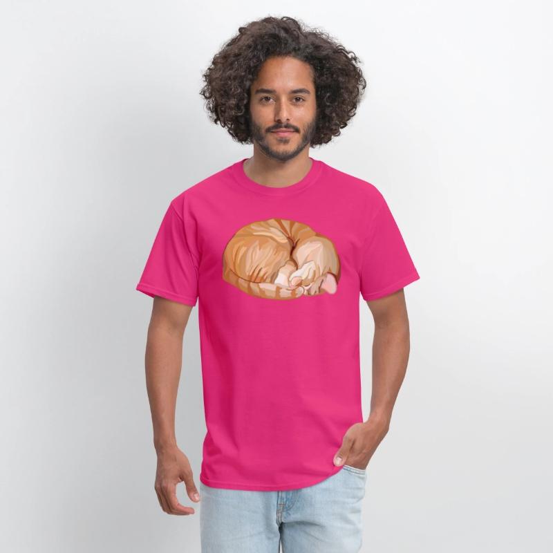 Sleeping Curled Orange Ginger Tabby Cat