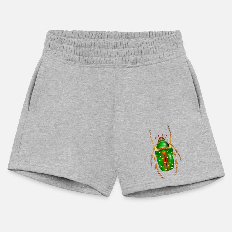 Stephanorrhina guttata-beautiful insect