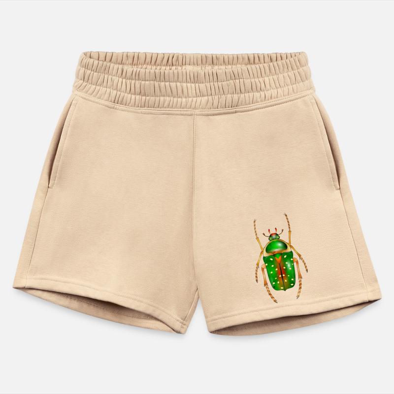 Stephanorrhina guttata-beautiful insect