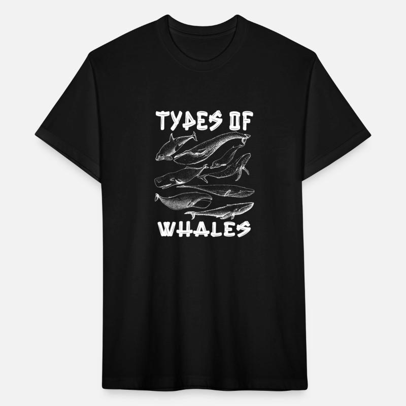 Types of Whales Whale Lovers Whales Species
