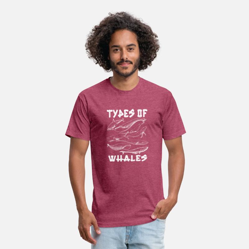 Types of Whales Whale Lovers Whales Species