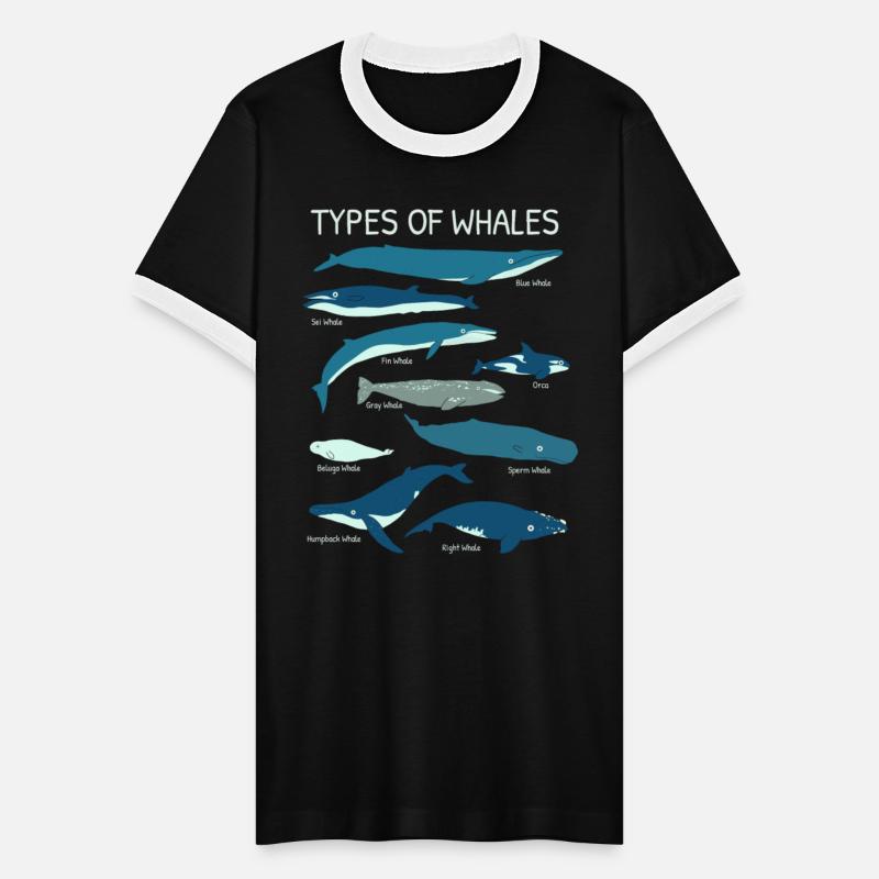Whale Species For Ocean Lovers