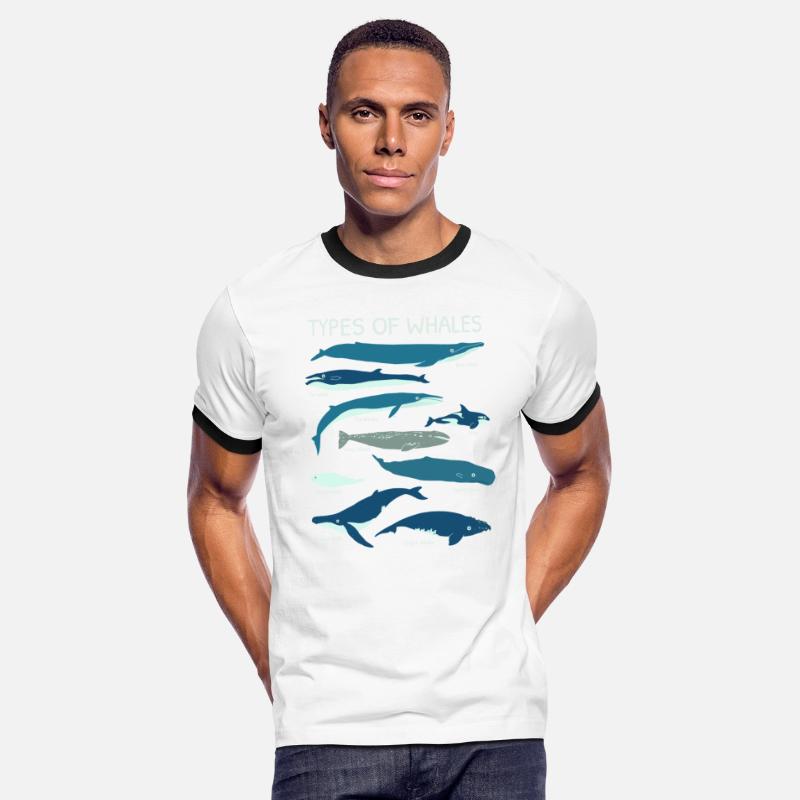Whale Species For Ocean Lovers