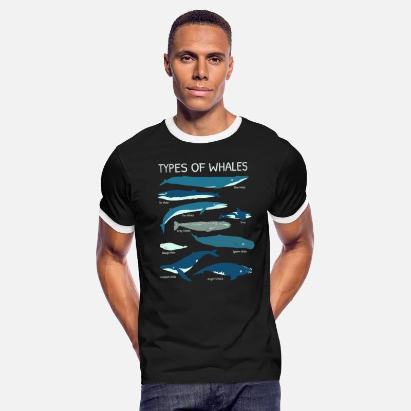 Whale Species For Ocean Lovers